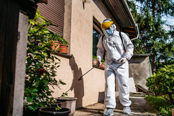 Best Wasp Removal Services  in Nephi, UT